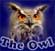 TheOwl-slr.jpg (6333 bytes)